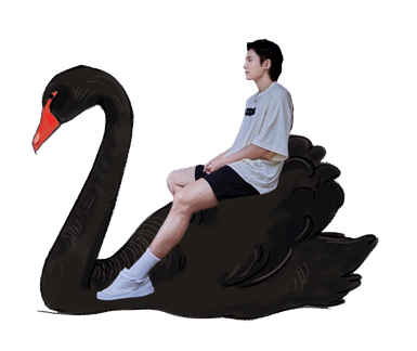 黑天鹅哲