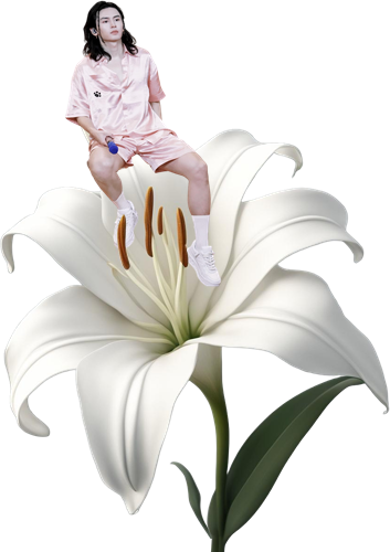 百合花哲