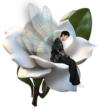 栀子花哲