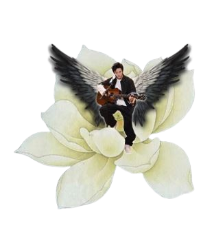 莲花哲